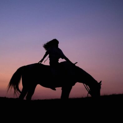 passeggiate a cavallo