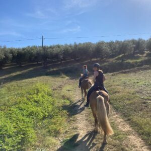 Passeggiata a cavallo