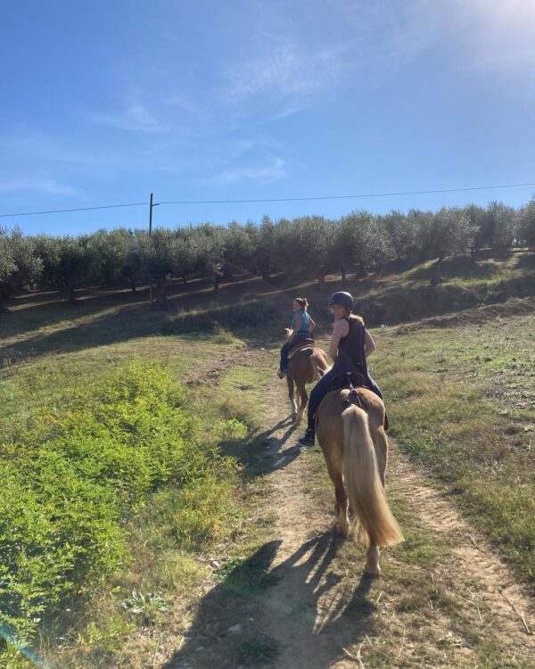 Passeggiata a cavallo