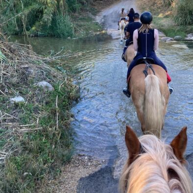 Passeggiate a cavallo